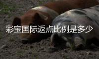 彩宝国际返点比例是多少？返利政策详解