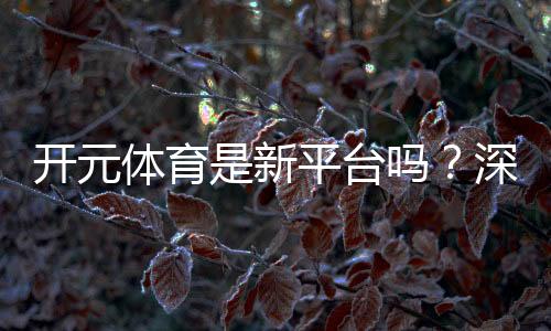 开元体育是新平台吗？深度解析其背景与游戏体验