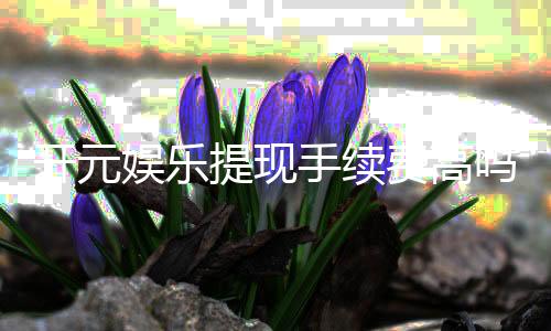 开元娱乐提现手续费高吗?资深玩家解析费用详情与省费技巧