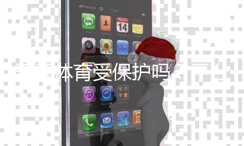 开云体育受保护吗？平台合法性、监管与用户权益一文看懂
