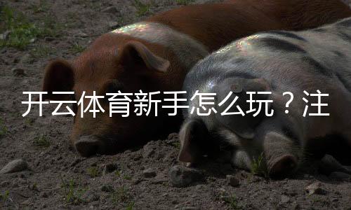 开云体育新手怎么玩？注册、充值、投注与常见玩法全攻略