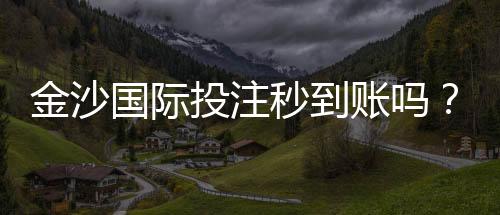 金沙国际投注秒到账吗?实测到账速度与提款技巧分享