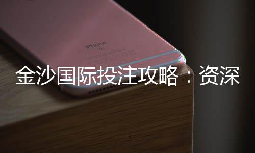 金沙国际投注攻略:资深玩家的实战技巧与资金管理秘籍