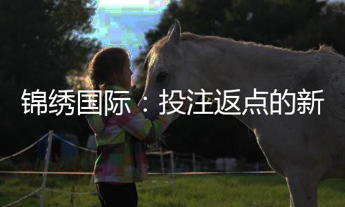 锦绣国际:投注返点的新选择