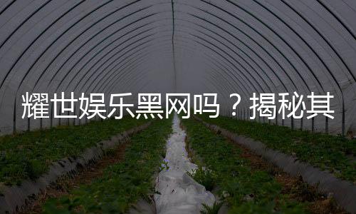 耀世娱乐黑网吗?揭秘其真伪与玩家安全攻略