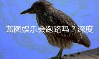 蓝图娱乐会跑路吗？深度解析平台稳定性与玩家资金安全