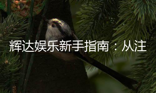 辉达娱乐新手指南:从注册到畅玩的完整攻略