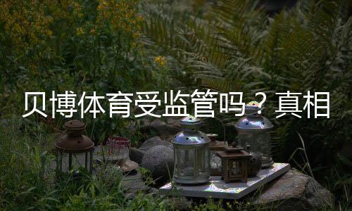贝博体育受监管吗?真相与平台合规性核查全攻略