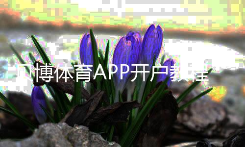 贝博体育APP开户教程:新手注册步骤、实名认证与常见问题详解