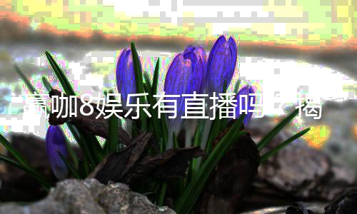 赢咖8娱乐有直播吗？揭秘平台真人直播与特色游戏体验
