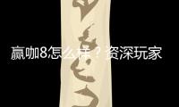 赢咖8怎么样？资深玩家带你全面评测平台优势与体验