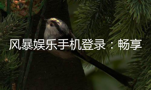 风暴娱乐手机登录:畅享移动端棋牌游戏的极致体验