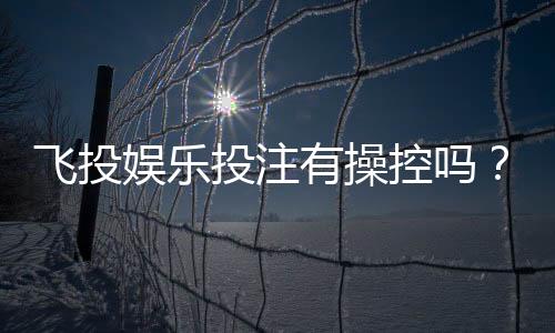 飞投娱乐投注有操控吗?深度解析平台公平性与防作弊机制