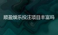 顺盈娱乐投注项目丰富吗？深度解析平台游戏种类与特色玩法
