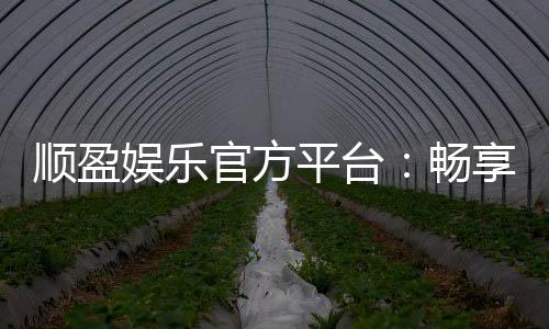 顺盈娱乐官方平台:畅享顶级棋牌与电子游艺的尊贵体验