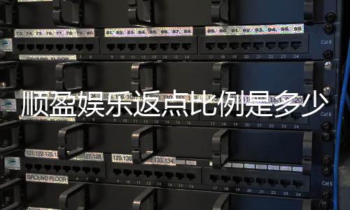 顺盈娱乐返点比例是多少?全面解析返点规则与计算方式