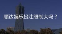 顺达娱乐投注限制大吗？深度解析平台规则与下注技巧