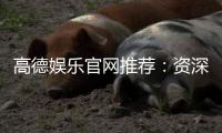 高德娱乐官网推荐：资深玩家揭秘最佳游戏体验与优惠活动
