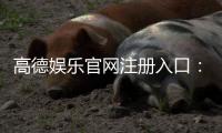 高德娱乐官网注册入口：轻松三步完成账号注册畅享游戏