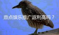 鼎点娱乐推广返利高吗？真实玩家解析返利规则与到账速度