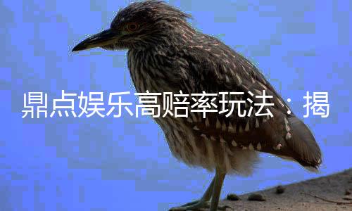 鼎点娱乐高赔率玩法:揭秘稳赢技巧与爆分秘籍