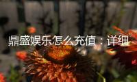 鼎盛娱乐怎么充值：详细指导策略分享