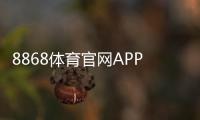 8868体育官网APP下载与使用教程：新手注册、充值、投注与安全攻略