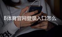 B体育官网登录入口怎么进？官方登录方法、注册流程与常见问题详解