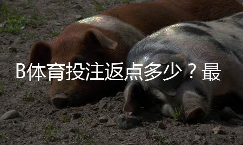 B体育投注返点多少？最新返利比例、计算方法与领取攻略