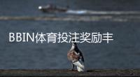 BBIN体育投注奖励丰厚吗？优惠类型、领取条件与实用领取攻略全解析