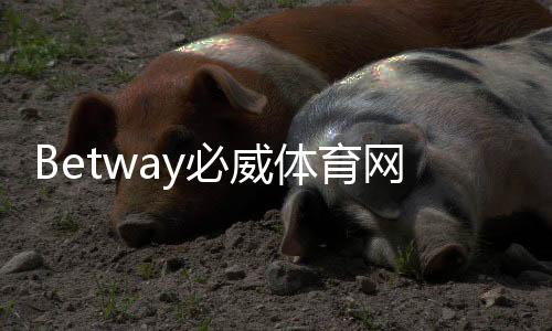 Betway必威体育网页版怎么样？安全性、功能与注册使用全面评测