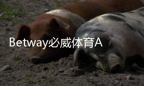 Betway必威体育APP登录教程：注册下载、账号安全与常见问题全解析