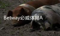 Betway必威体育APP登录教程：注册下载、账号安全与常见问题全解析