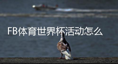 FB体育世界杯活动怎么玩？新手参与攻略、玩法规则与优惠福利详解