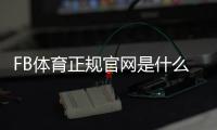 FB体育正规官网是什么？官方下载入口、注册教程与安全性全面解析