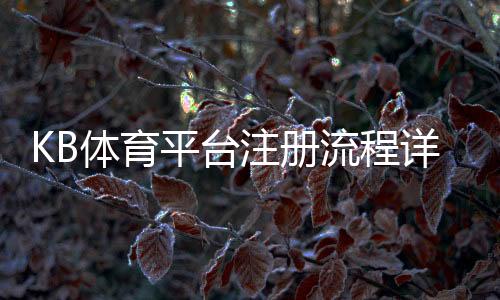 KB体育平台注册流程详解:新手快速完成注册、登录与实名认证