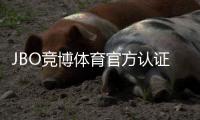 JBO竞博体育官方认证登录怎么操作？官网入口、认证步骤与安全登录全攻略