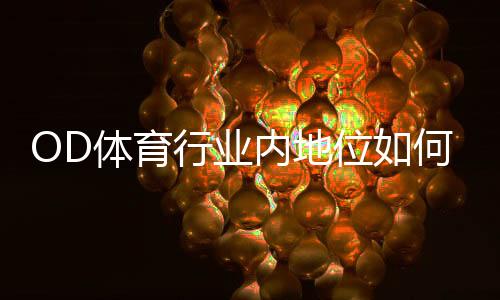 OD体育行业内地位如何？市场份额、竞争优势与发展前景深度解析
