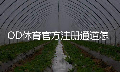 OD体育官方注册通道怎么进?完整注册流程、新手图文教程与常见问题解答