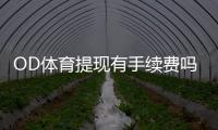 OD体育提现有手续费吗？最新手续费标准与免手续费攻略