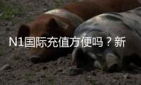 N1国际充值方便吗？新手充值流程、支付方式与常见问题详解