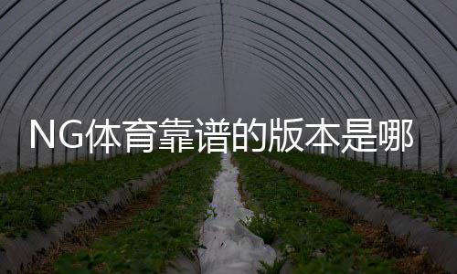 NG体育靠谱的版本是哪一个？最新版识别、下载渠道与防骗指南