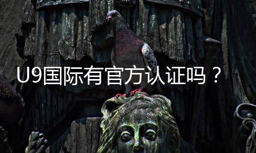 U9国际有官方认证吗?真假认证识别方法与官方查验指南