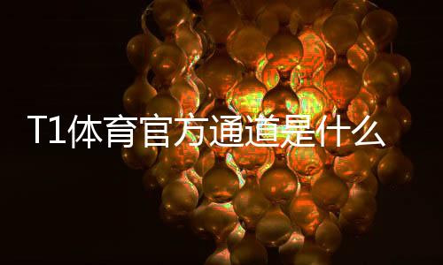 T1体育官方通道是什么?最新登录入口、使用教程与安全注意事项