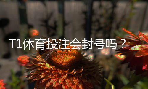 T1体育投注会封号吗?封号原因、预防与解封全攻略
