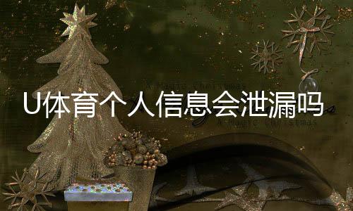 U体育个人信息会泄漏吗?深度解析平台安全性与防护措施