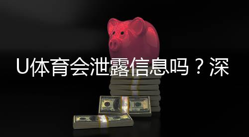 U体育会泄露信息吗?深度解析平台安全性与隐私保护措施