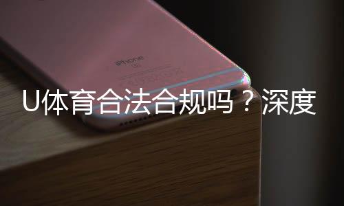 U体育合法合规吗?深度解析其运营资质与用户保障