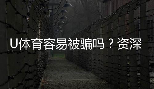 U体育容易被骗吗？资深玩家揭秘平台安全性与防骗技巧