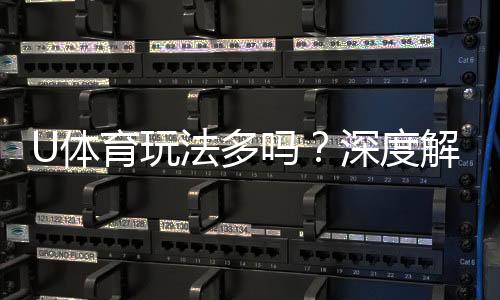 U体育玩法多吗?深度解析平台特色与游戏选择